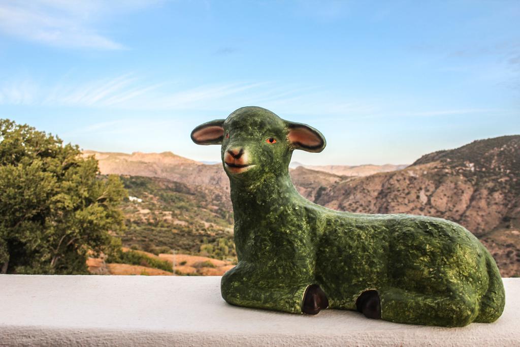 Pitres La Oveja Verde De La Alpujarra المظهر الخارجي الصورة